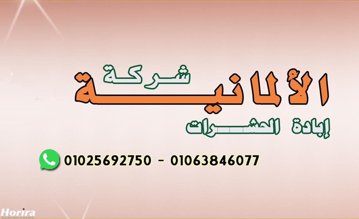 -شركة-مكافحة-حشرات